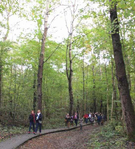 MG Herfstwandeling op 18-10-2015, org. Judith & Monke Menten (4).jpg